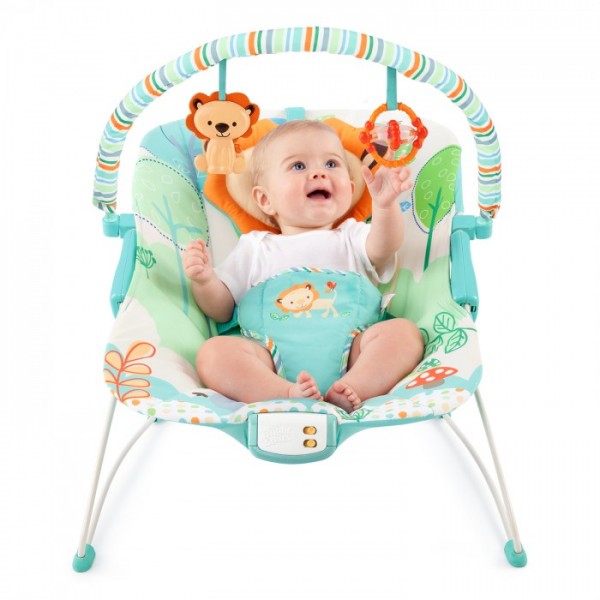 Bright Starts Bouncer - Playful Pals -
